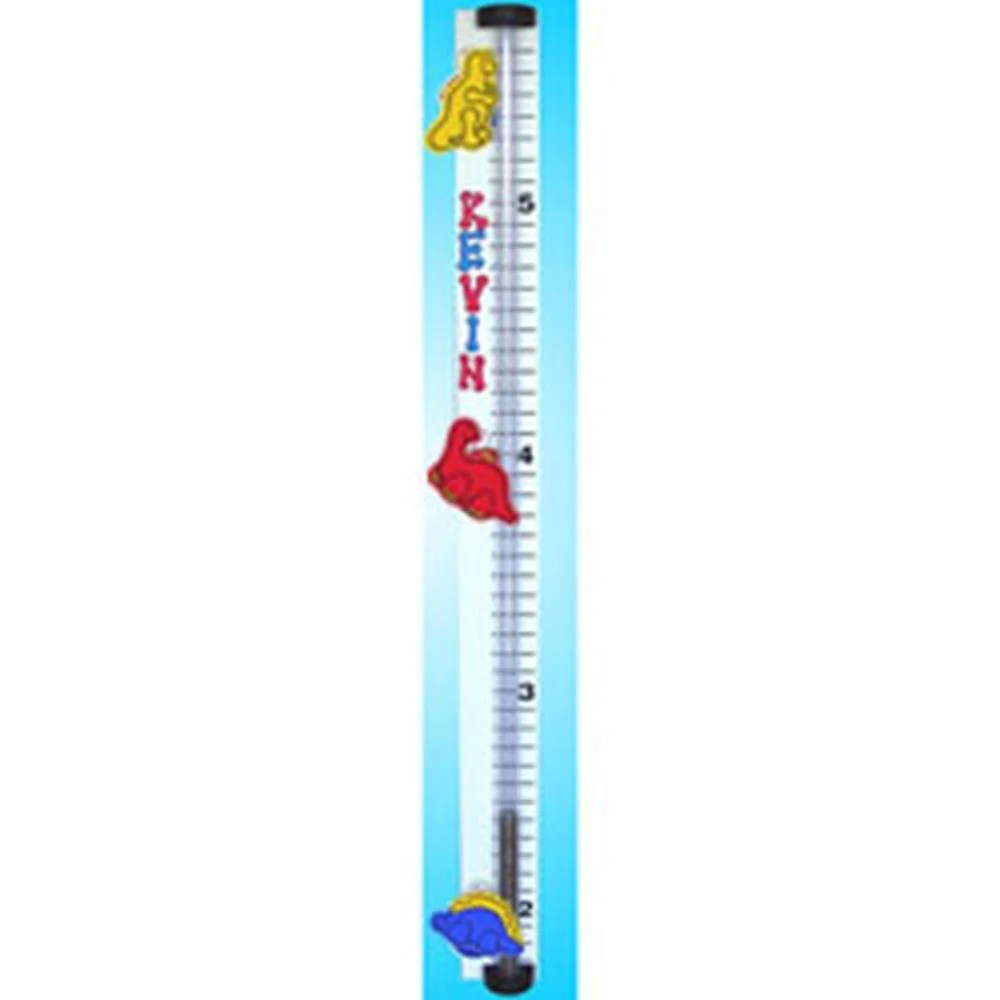 Personalized Money Bank Growthometer Growth Chart - Image 10
