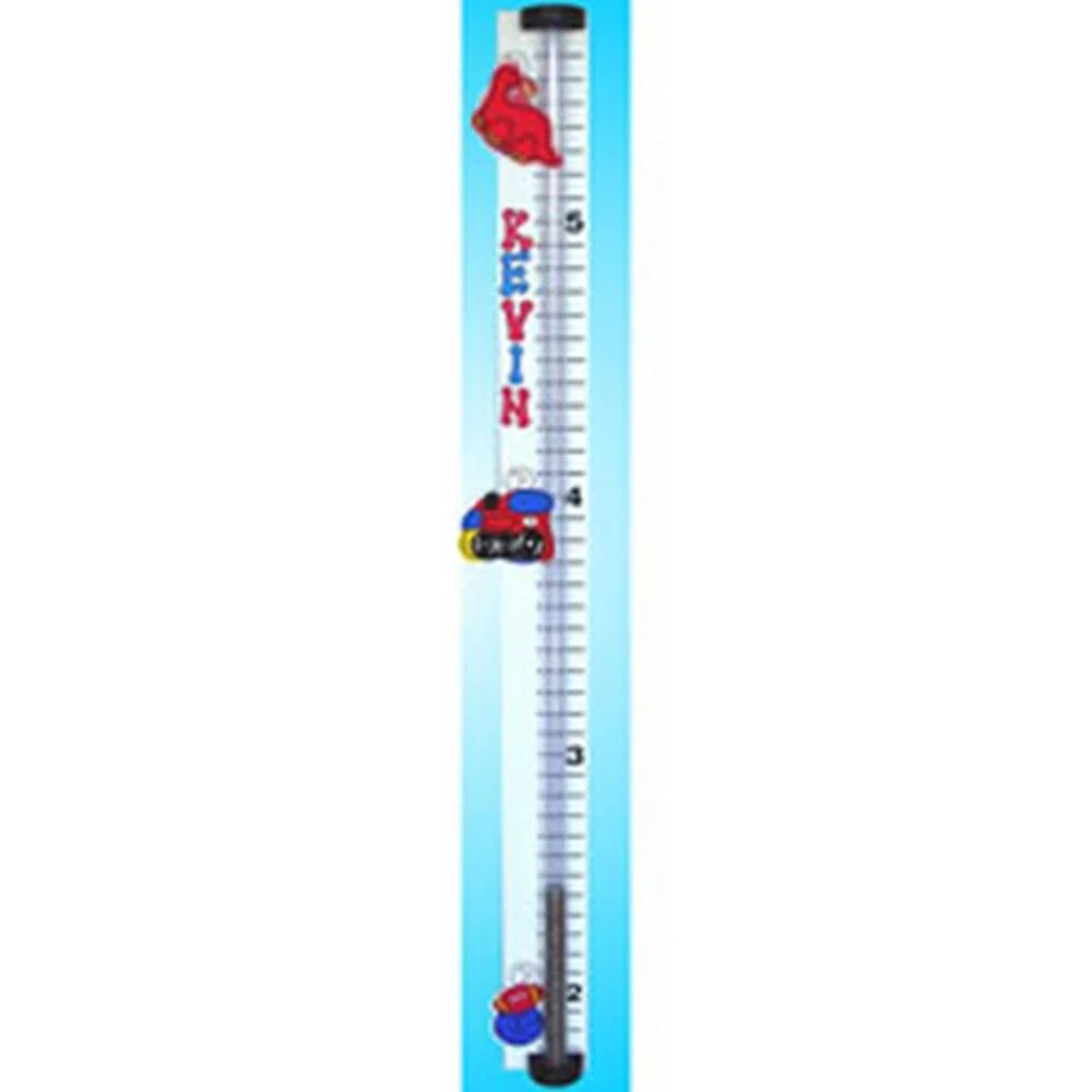 Personalized Money Bank Growthometer Growth Chart - Image 11