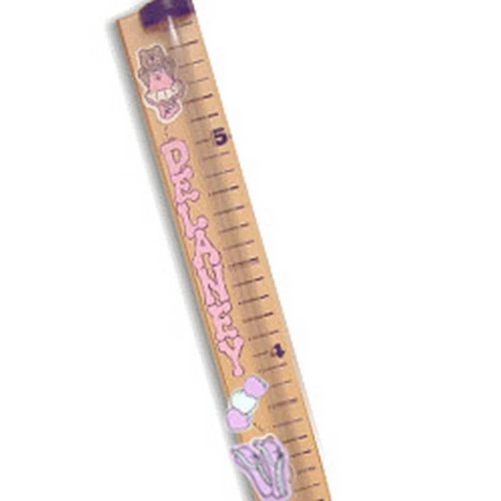 Personalized Money Bank Growthometer Growth Chart - Image 3
