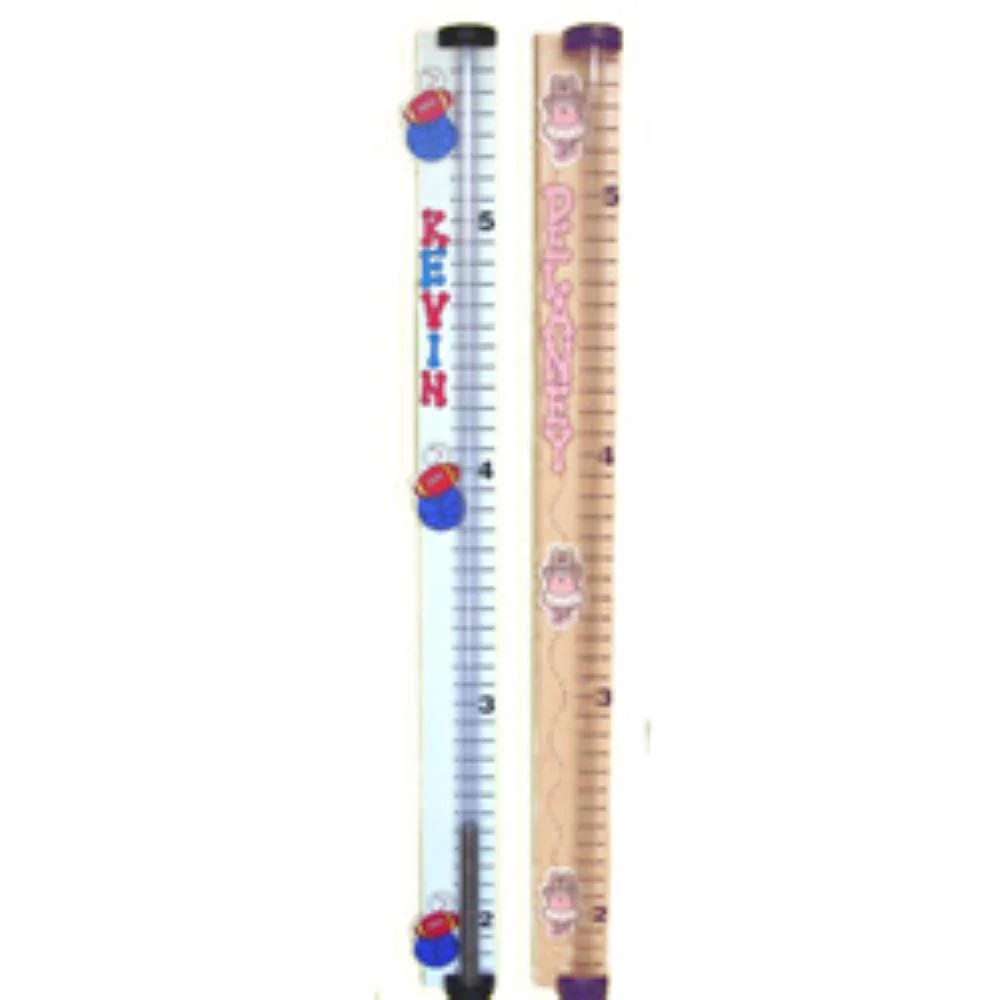 Personalized Money Bank Growthometer Growth Chart - Image 5