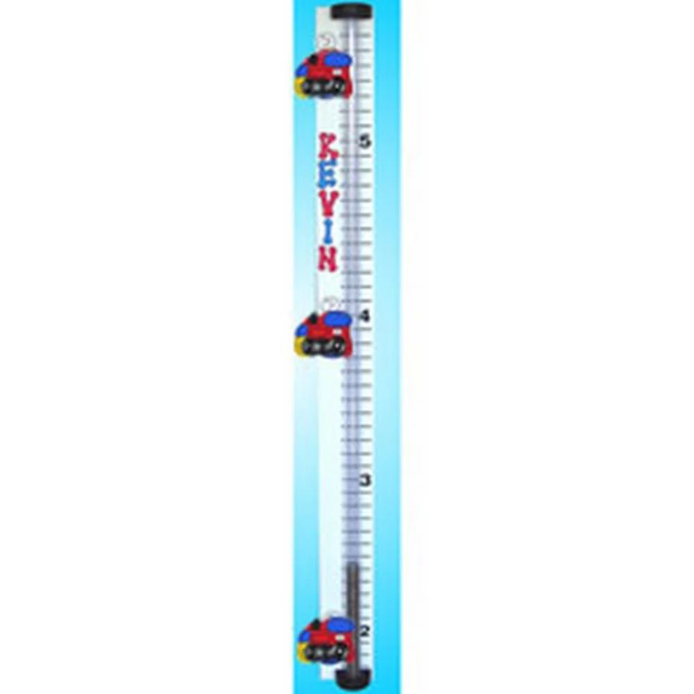 Personalized Money Bank Growthometer Growth Chart - Image 8